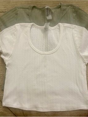 Women's Scoop Neck Ribbed Top - White and Sage